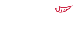 Bullzeye.be